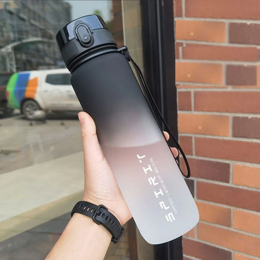Graphite gradient water bottle