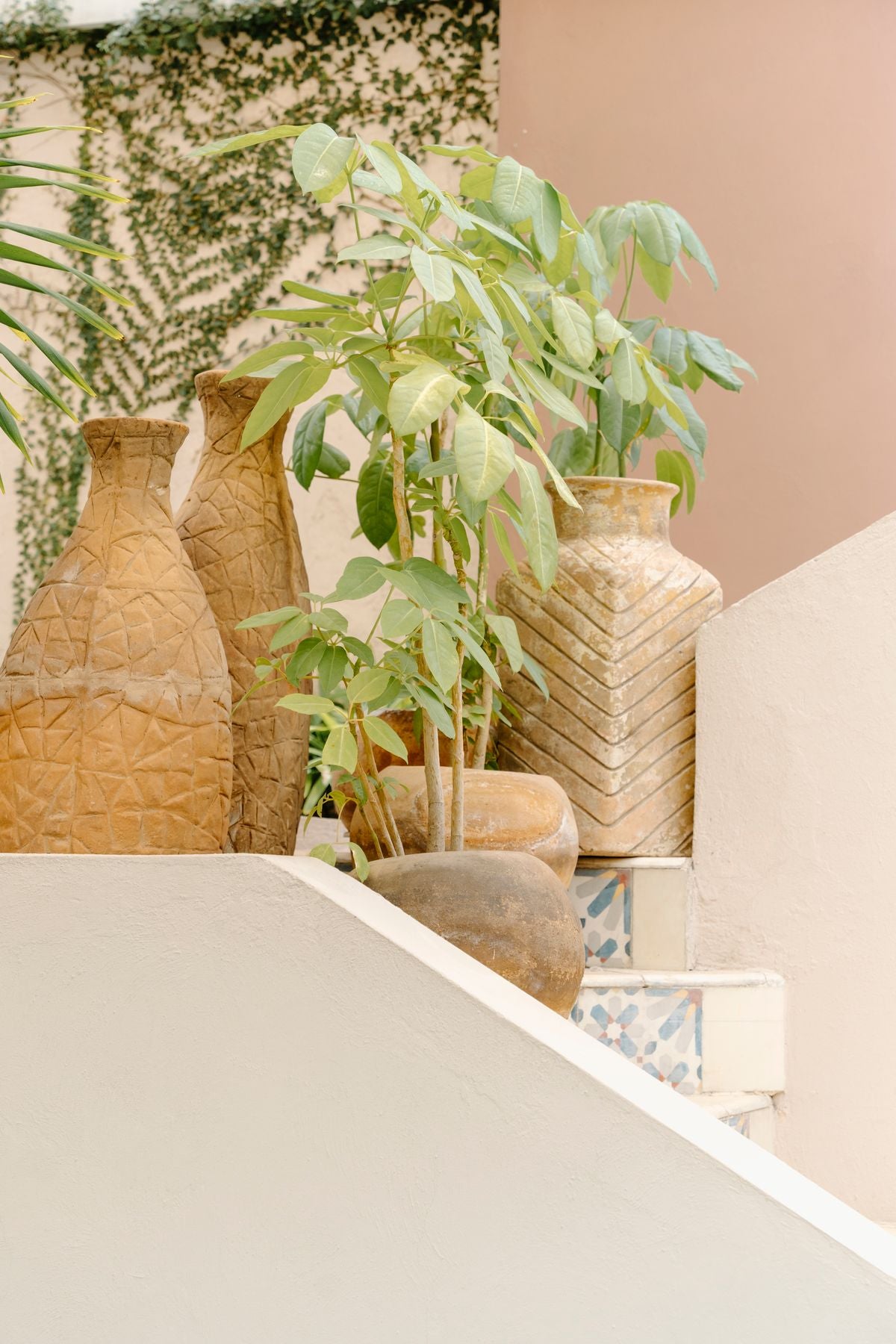 Faux Olive Potted Plant — Lumora Loves